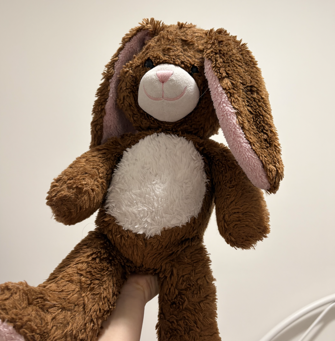 Stuffed toy to do possible interaction with, squeeze/hug it.